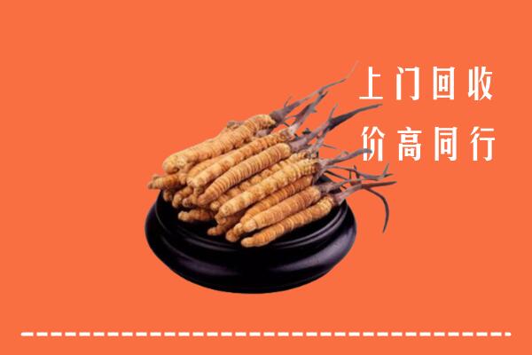 高价求购：绥化回收散虫草