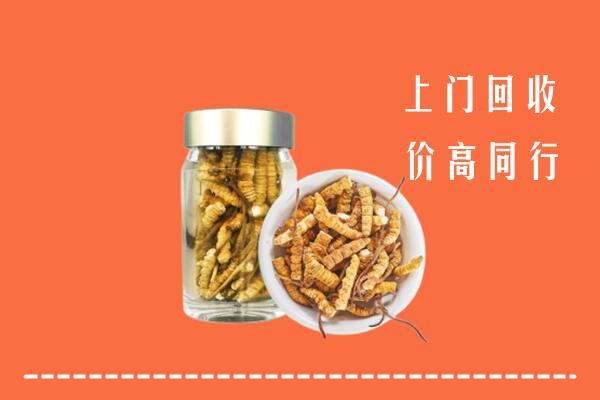 绥化回收冬虫夏草